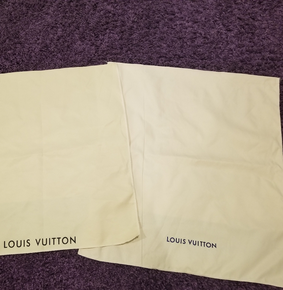 Louis Vuitton Purse Bags